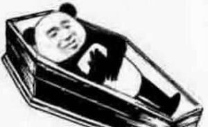 熊猫,棺材